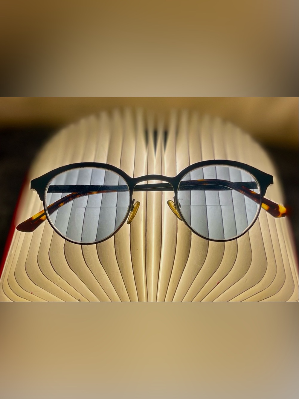 EBD NWOT Bifocal reader sunglasses +2.25